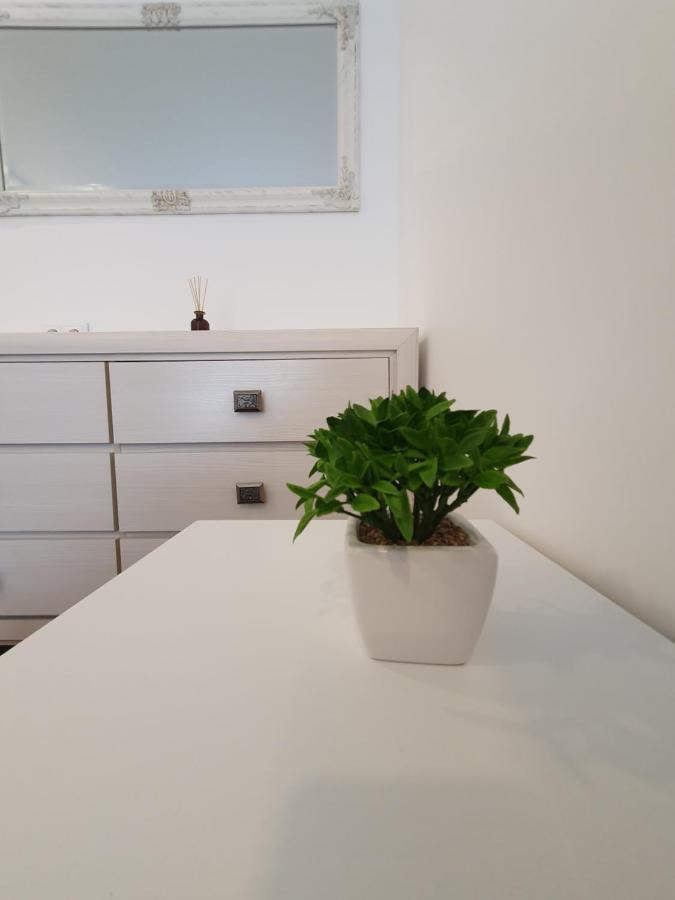 Talsa 1-Bedroom Apartment In City Center Siauliai Exteriör bild